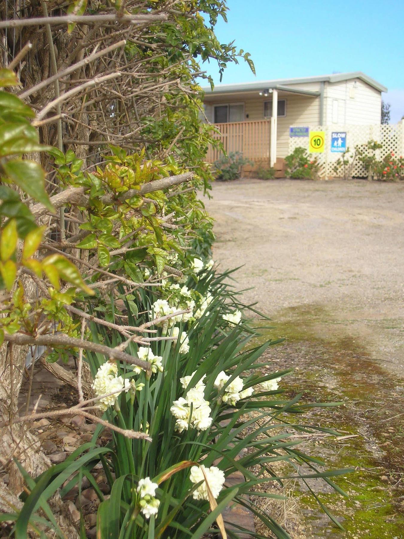 Moonta Bay Accommodation Port Moonta Екстериор снимка