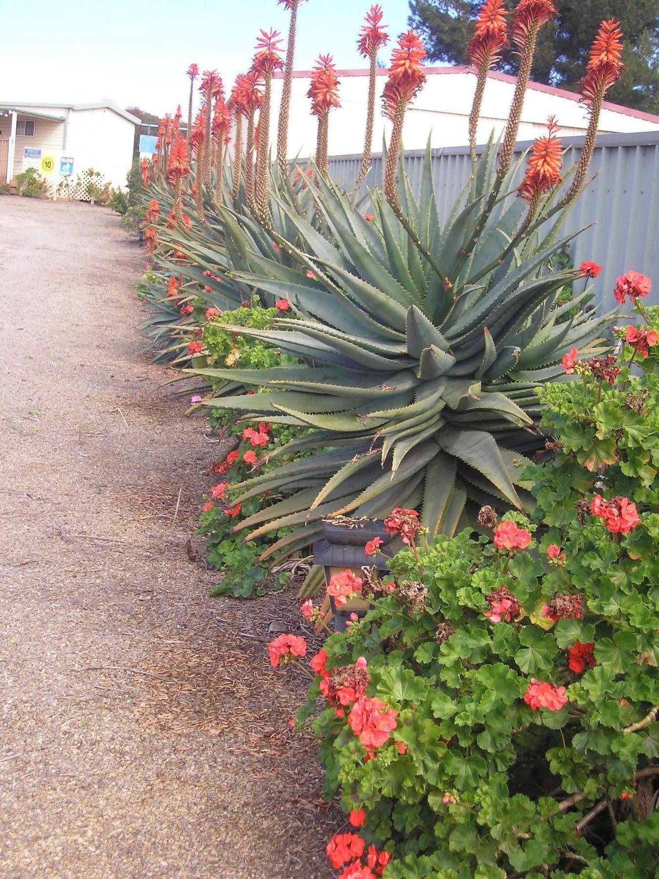 Moonta Bay Accommodation Port Moonta Екстериор снимка